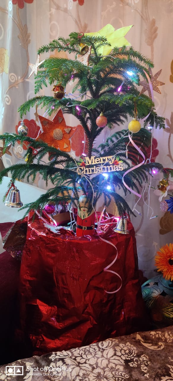CHRISTMAS CELEBRATION 3A ON 22-12-2020
